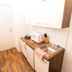 Апартаменты CheckVienna – Apartment Haberlgasse в номере