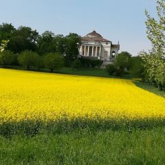 Отель Appartamento Palladio140 Италия, Виченца - отзывы, цены и фото номеров - забронировать отель Appartamento Palladio140 онлайн спортивное сооружение