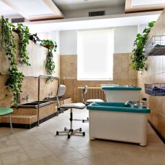 TOP Hotel Agricola детские мероприятия фото 2