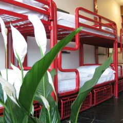 The Dictionary Hostel детские мероприятия