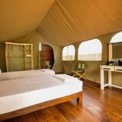 Wild Glamping in Kandy, Sri Lanka from 244$, photos, reviews - zenhotels.com guestroom photo 4
