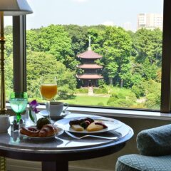 Отель CHINZAN-SO Токио в номере фото 2