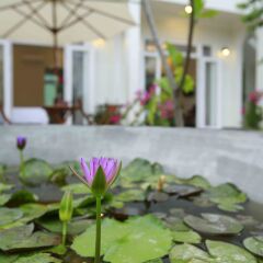 Отель La Uy Villa фото 6