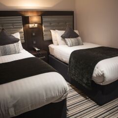 The W14 Hotel комната для гостей фото 4