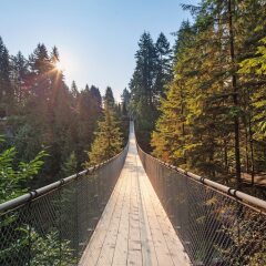 Отель Holiday Inn Vancouver Downtown & Suites Канада, Ванкувер - отзывы, цены и фото номеров - забронировать отель Holiday Inn Vancouver Downtown & Suites онлайн фото 5