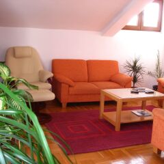 Апартаменты Apartments Aleksic Old Town комната для гостей фото 5