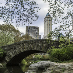 Отель The Pierre, A Taj Hotel, New York США, Нью-Йорк - отзывы, цены и фото номеров - забронировать отель The Pierre, A Taj Hotel, New York онлайн фото 5
