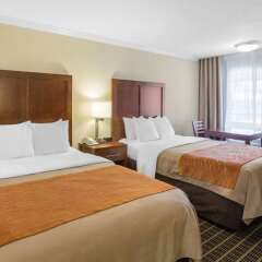 Отель Comfort Inn Near Old Town Pasadena комната для гостей фото 5