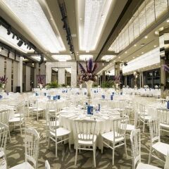 Radisson Blu Hotel, Vadistanbul Турция, Стамбул - отзывы, цены и фото номеров - забронировать отель Radisson Blu Hotel, Vadistanbul онлайн помещение для мероприятий
