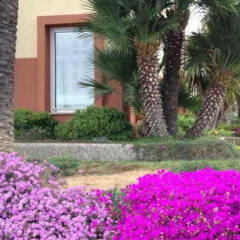 Aregai Marina Hotel & Residence фото 7