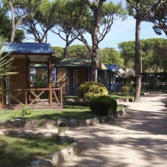 Отель Camping Bella Terra Испания, Бланес - отзывы, цены и фото номеров - забронировать отель Camping Bella Terra онлайн фото 2
