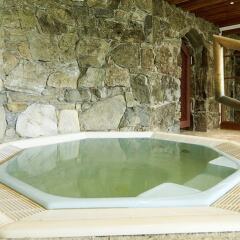 Отель Alpenhotel Laurin Хохгургль бассейн