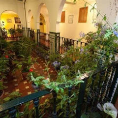 Отель Hostal San Juan Испания, Салобрена - отзывы, цены и фото номеров - забронировать отель Hostal San Juan онлайн фото 8
