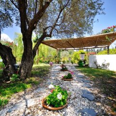 Отель Olive Farm Of Datca Guesthouse - Adults Only Датча фото 8