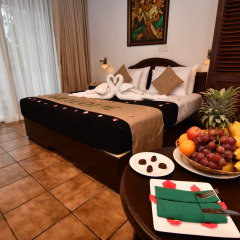 Hotel Tree of Life в номере