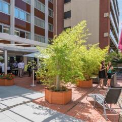Отель Mercure Toulouse Centre Saint-Georges Hotel Франция, Тулуза - отзывы, цены и фото номеров - забронировать отель Mercure Toulouse Centre Saint-Georges Hotel онлайн фото 4