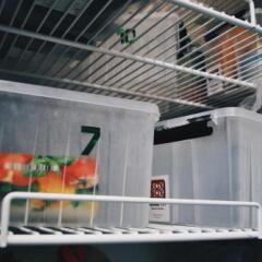 Clever Hostel Зеленогорск
