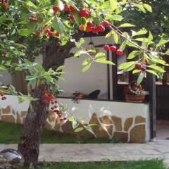 Hotel Bela Neda Велико Тырново фото 3