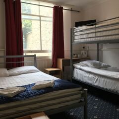 Springfield Hotel комната для гостей фото 4