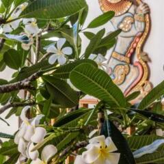 Отель Prince Of Galle Галле фото 13