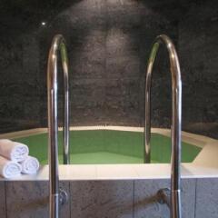 Отель Wellness Hotel Jean De Carro Чехия, Карловы Вары - отзывы, цены и фото номеров - забронировать отель Wellness Hotel Jean De Carro онлайн сауна