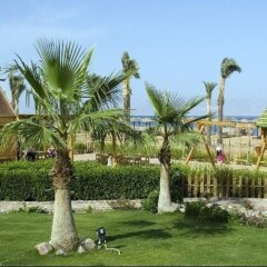 Отель Swiss Inn Dream Resort Taba