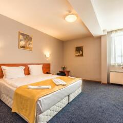 Sveta Sofia Hotel комната для гостей