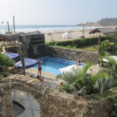 Отель Dharma Beach с домашними животными