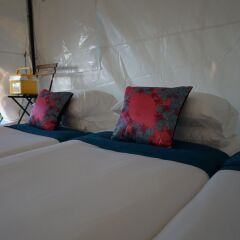 Отель Singha Park Chiang Rai Camping Таиланд, Чианграй - отзывы, цены и фото номеров - забронировать отель Singha Park Chiang Rai Camping онлайн комната для гостей фото 3