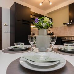 Апартаменты Prague Luxury Apartments в номере