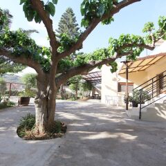 Отель Bali Paradise Hotel Греция, Милопотамос - отзывы, цены и фото номеров - забронировать отель Bali Paradise Hotel онлайн фото 12