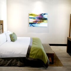 Áurea Hotel & Suites комната для гостей фото 3
