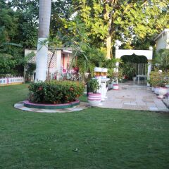 Hibiscus Hostel