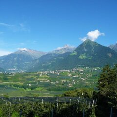 Отель Pension Obertaberhof Сцена приотельная территория