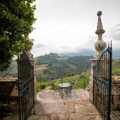 Отель Casa das Torres de Oliveira Португалия, Мезан-Фриу - отзывы, цены и фото номеров - забронировать отель Casa das Torres de Oliveira онлайн фото 13