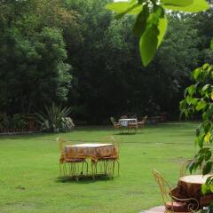 Hotel Diggi Palace фото 11