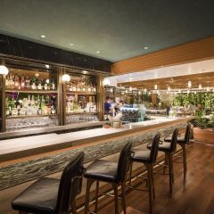 Отель InterContinental Singapore Robertson Quay гостиничный бар
