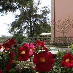 Отель La Mimosa Кастаньето-Кардуччи фото 7