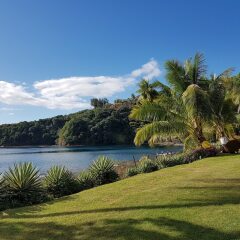 Отель Tahiti Pearl Beach Resort фото 4
