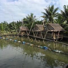 Отель Loc Phat Hoi An Homestay - Villa