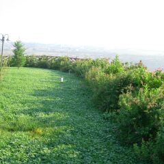 Отель Agriturismo Terra Dei Sassi Матера фото 8