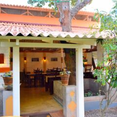 Отель Morning Star Guest House питание фото 2