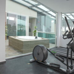 Отель J. Towers Hotel Suites Мексика, Мехико - отзывы, цены и фото номеров - забронировать отель J. Towers Hotel Suites онлайн фитнесс-зал