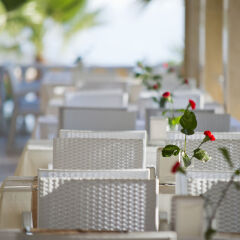 Grand Sunlife Hotel Турция, Аланья - отзывы, цены и фото номеров - забронировать отель Grand Sunlife Hotel онлайн помещение для мероприятий