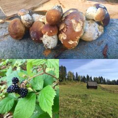 Гостиница Вилла Шале Марсо фото 3