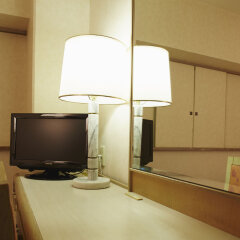 Ariston Hotel Miyazaki in Miyazaki, Japan from 79$, photos, reviews - zenhotels.com room amenities