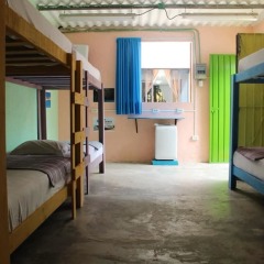 Отель Hostel Balagan Мексика, Канкун - отзывы, цены и фото номеров - забронировать отель Hostel Balagan онлайн комната для гостей фото 3
