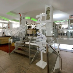Hotel Exe Moncloa детские мероприятия
