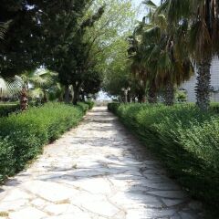Altinkum Tatil Koyu Турция, Силифке - отзывы, цены и фото номеров - забронировать отель Altinkum Tatil Koyu онлайн фото 4