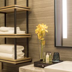 DoubleTree by Hilton Hotel Shenzhen Longhua ванная фото 2